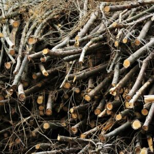 Holm Oak Firewood 20kg