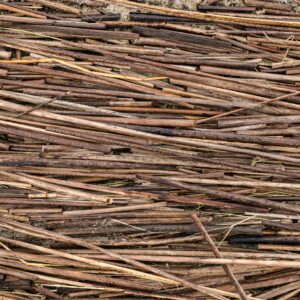 Astella d'Alzina 20kg