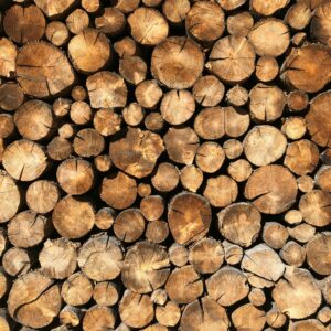 Troncs d'Alzina 40cm