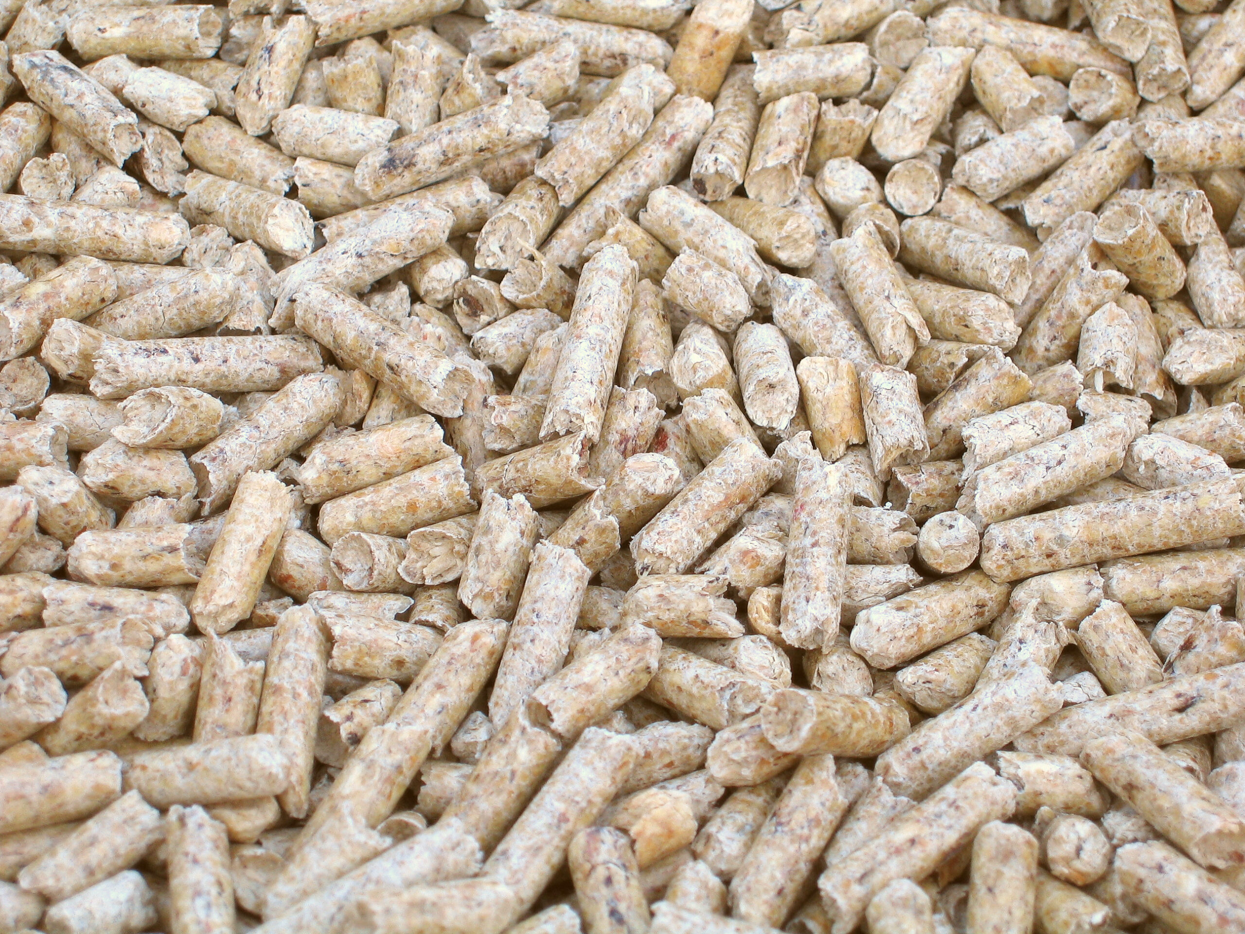 Pellets de madera a granel para caldera automática de empresa