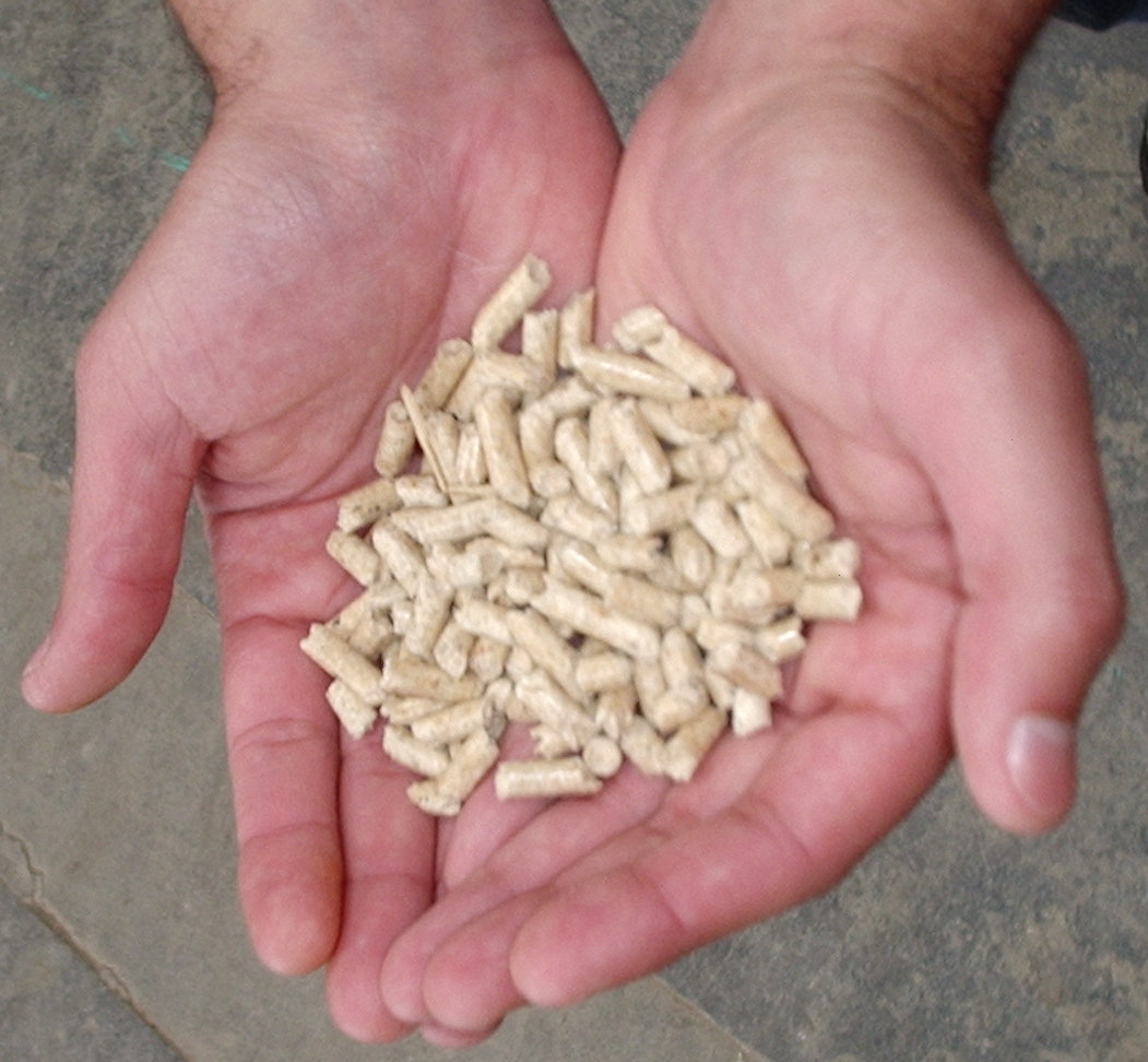 Hand holding wood pellets for residential heating