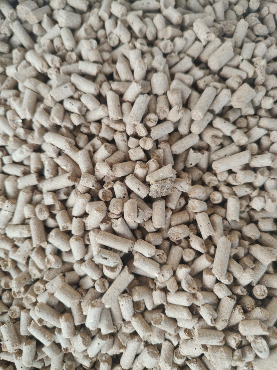 Pellets de madera, una forma común de combustible de biomasa para calefacción y generación eléctrica