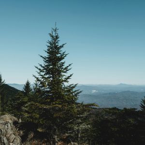 airam-dato-on-p5fv-Gw7qTg-unsplash