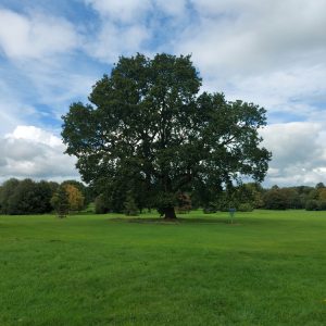 ben-marler-YsOzHlK0LUA-unsplash