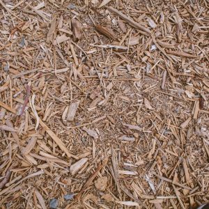 brian-wangenheim-izBZlNWK72A-unsplash