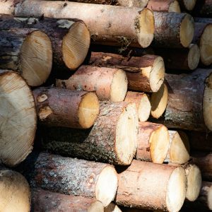 ivona-roz-8XKEd_CKt4g-unsplash