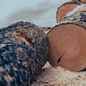 jon-sailer-vS1BnABwcLY-unsplash (1)