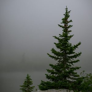 scott-osborn-tiU5gPlxMSw-unsplash